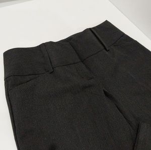 Express Design Studio Editor Capris